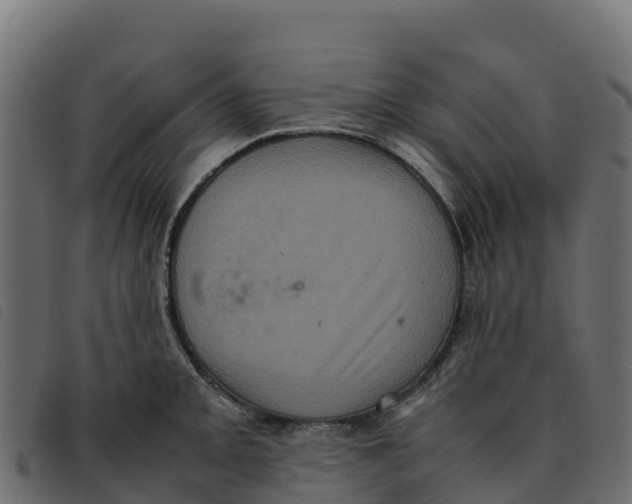 X0000092221093200710121152