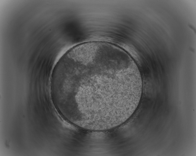 X0000092221094200710121152