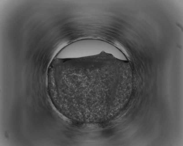 X0000092221095200710121152