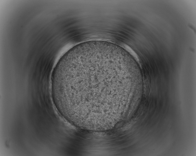 X0000092221096200710121152