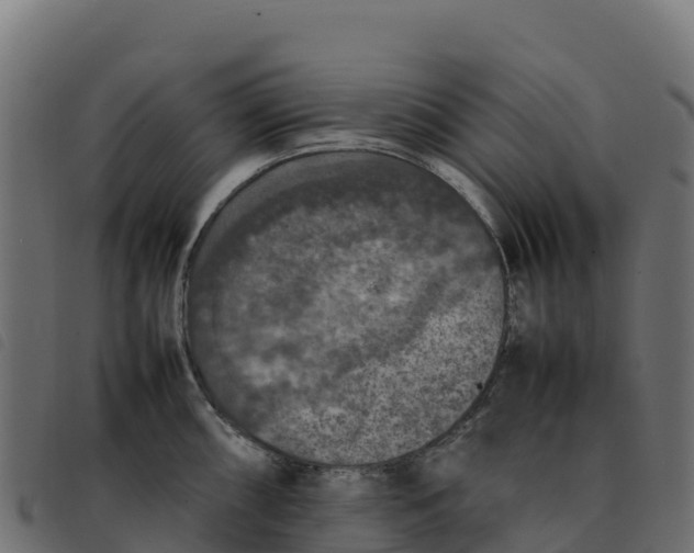 X0000092221098200710121151