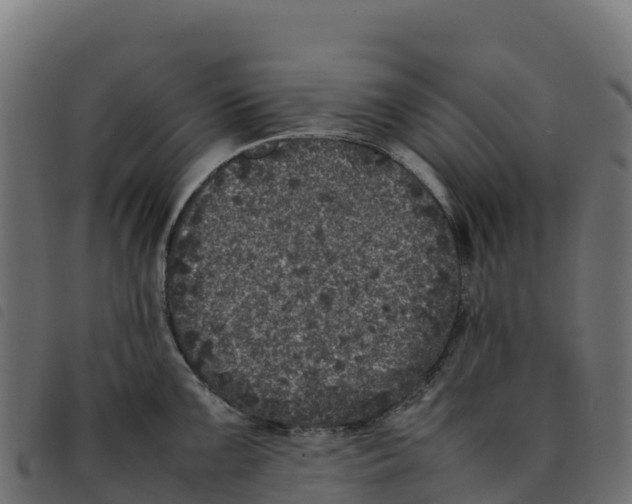 X0000092221099200710121151