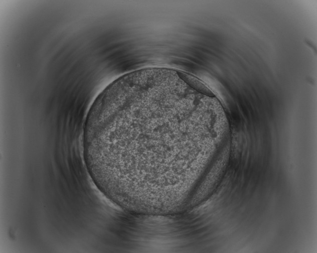 X0000092221100200710121151