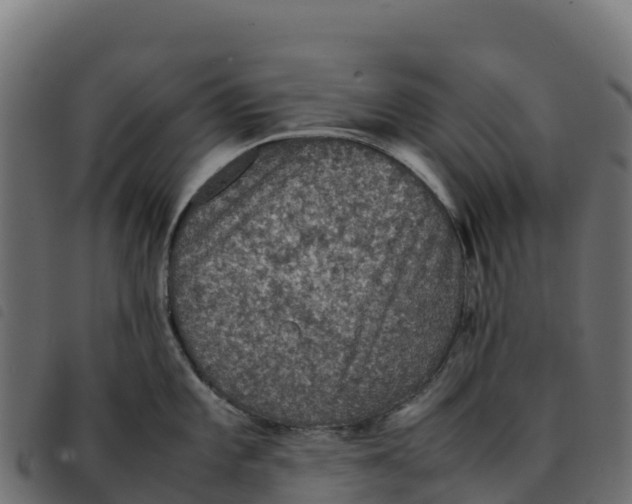 X0000092221101200710121151