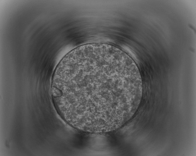 X0000092221103200710121151