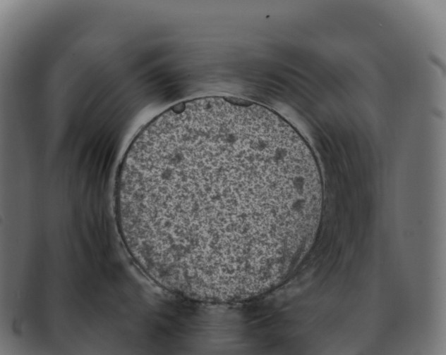 X0000092221104200710121151