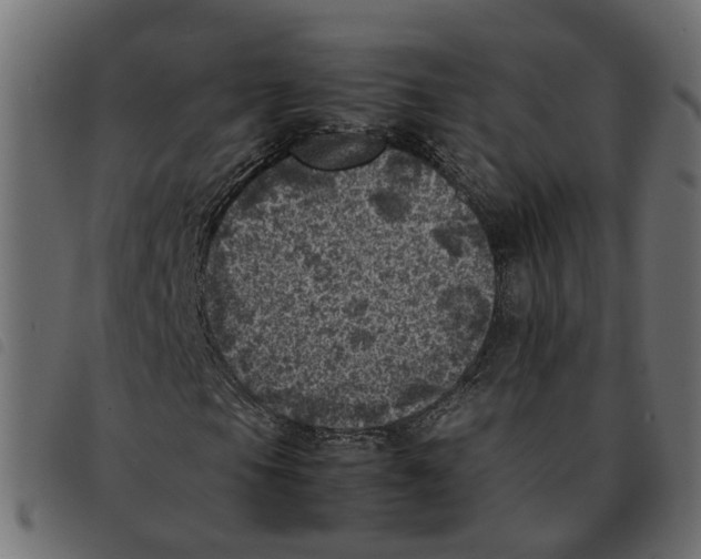 X0000092221105200710121151