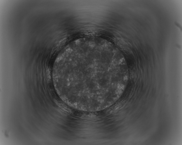 X0000092221106200710121151