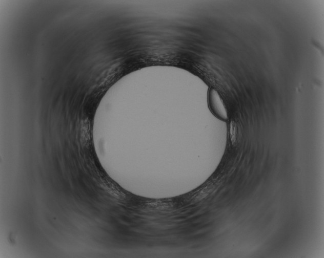X0000092221107200710121151