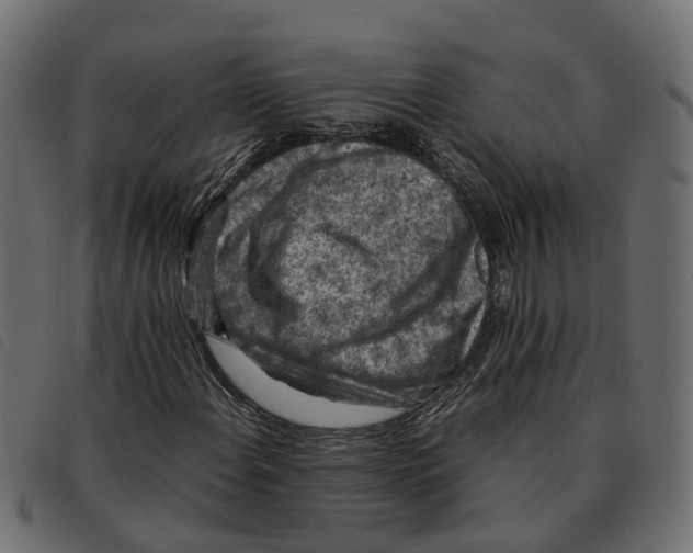 X0000092221108200710121151