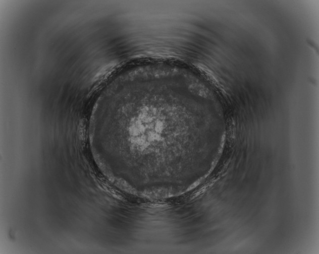 X0000092221110200710121151
