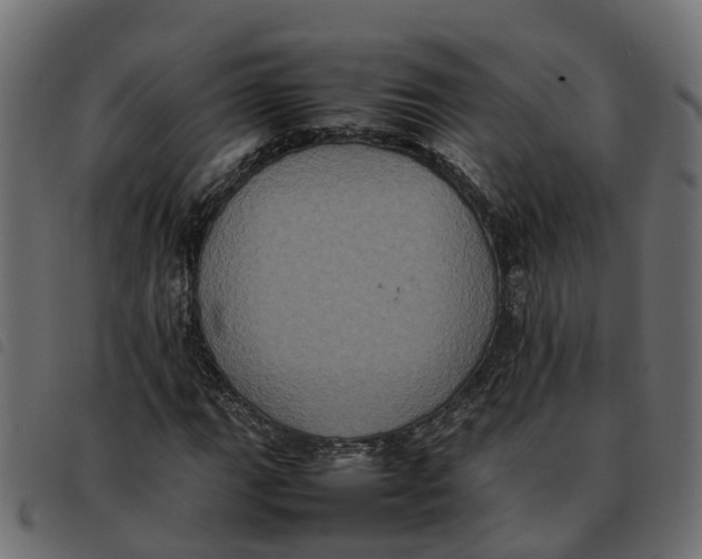 X0000092221111200710121151