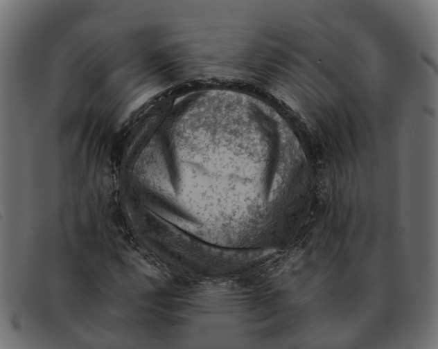 X0000092221112200710121151