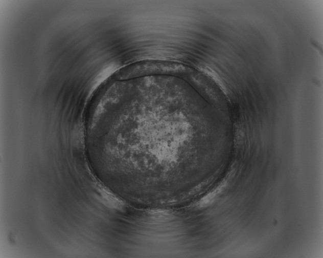 X0000092221114200710121151