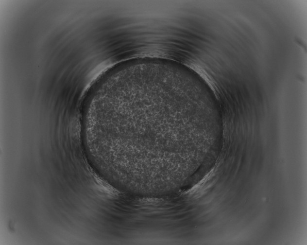 X0000092221115200710121151