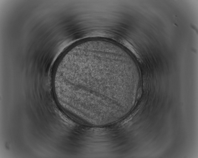 X0000092221116200710121151