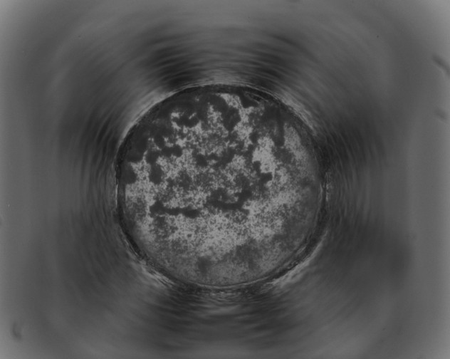 X0000092221117200710121151