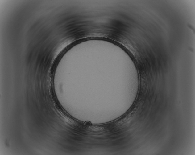X0000092221119200710121151