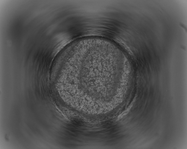 X0000092221121200710121151