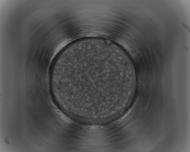 X0000092221122200710121151