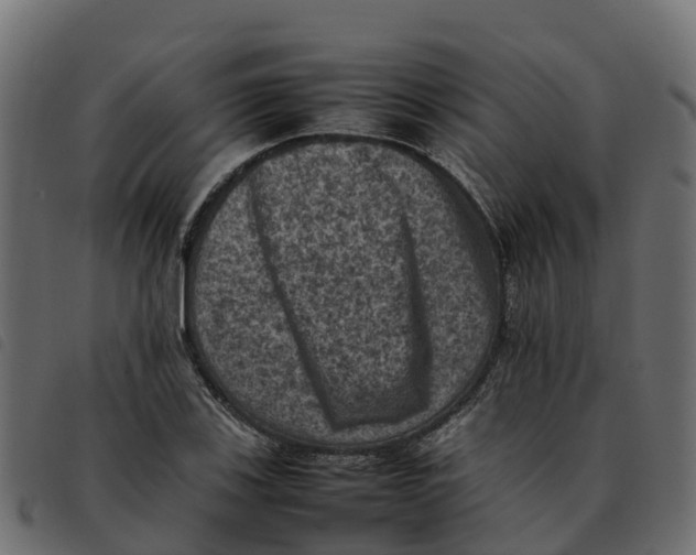 X0000092221123200710121151