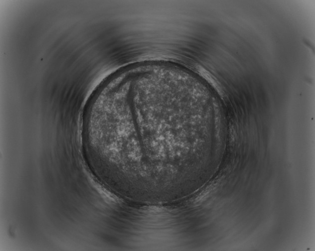 X0000092221124200710121151