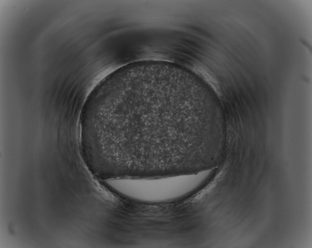 X0000092221125200710121151