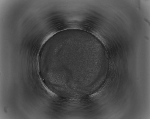 X0000092221127200710121151