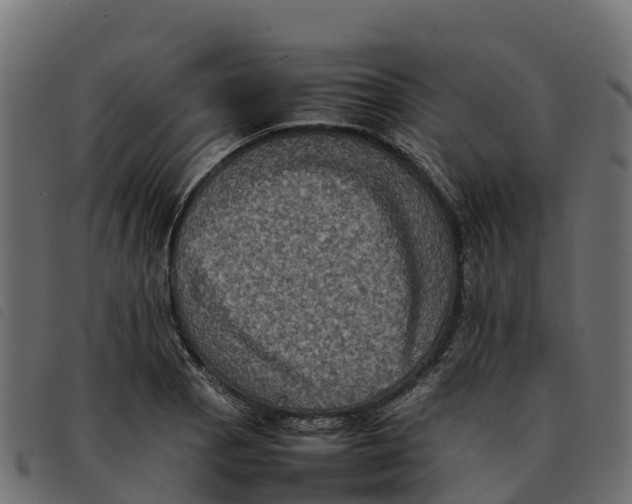 X0000092221129200710121151