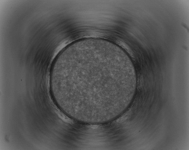 X0000092221130200710121151