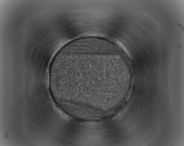 X0000092221132200710121151