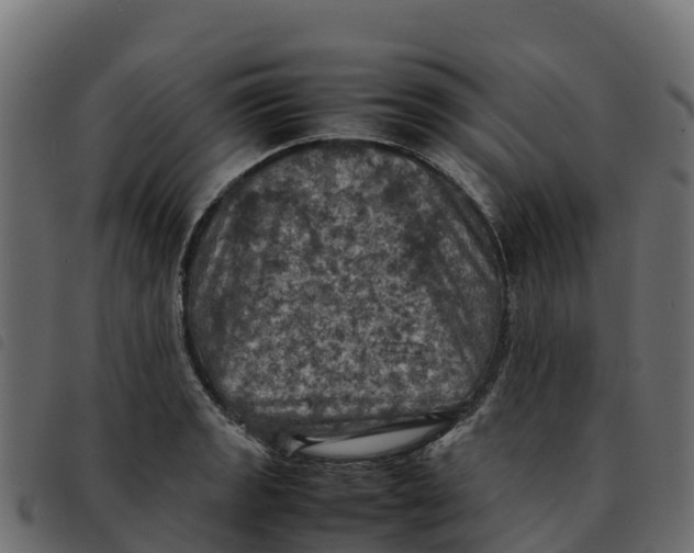 X0000092221133200710121151