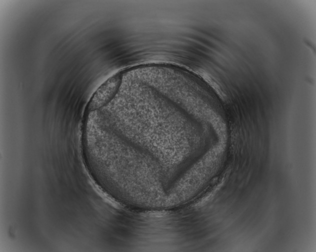X0000092221134200710121151