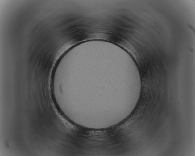 X0000092221135200710121151