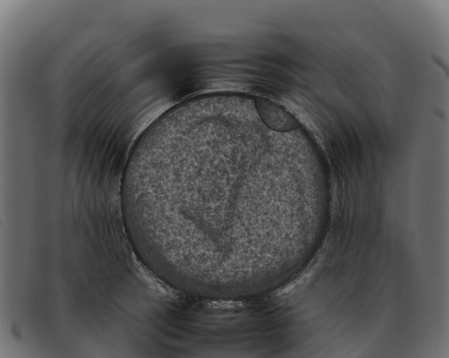 X0000092221137200710121151