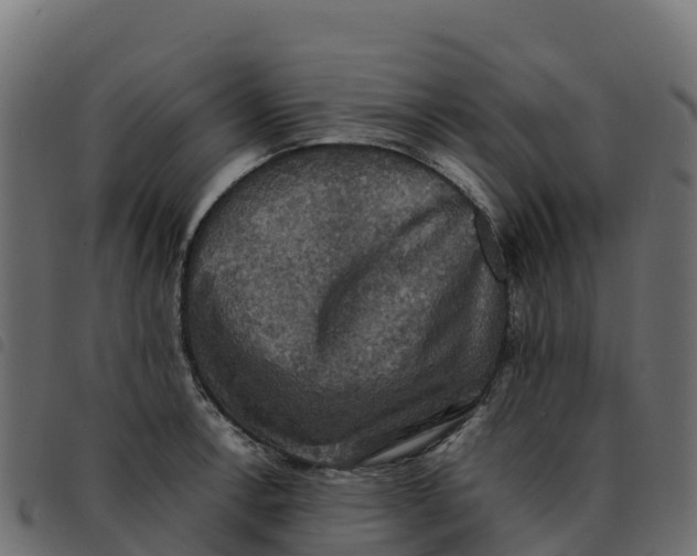 X0000092221138200710121151