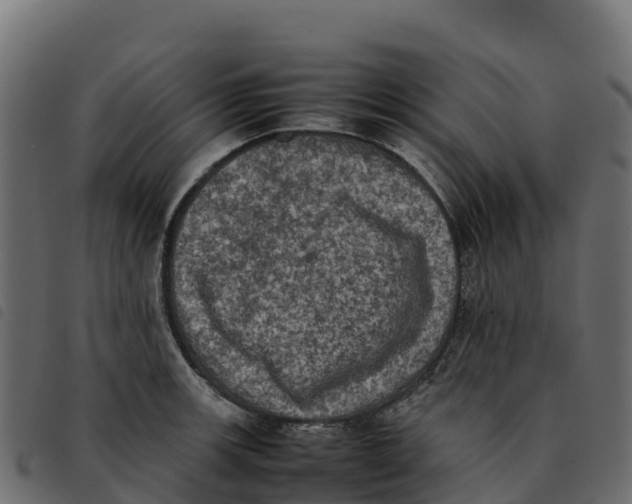 X0000092221139200710121151