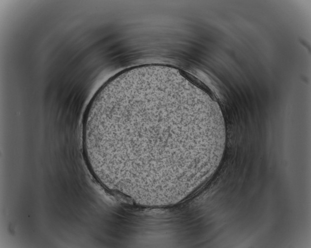 X0000092221140200710121151