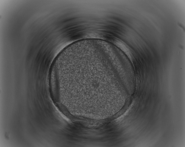 X0000092221141200710121151