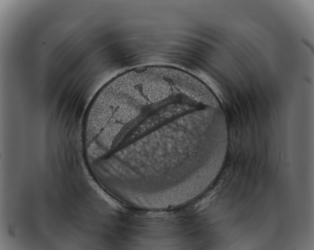 X0000092221142200710121151