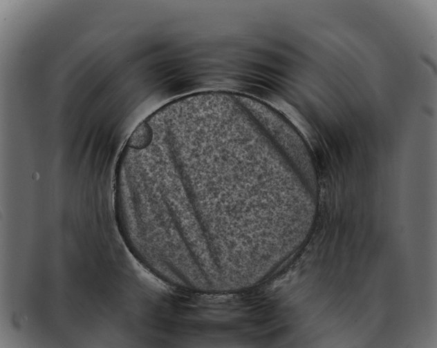 X0000092221143200710121151