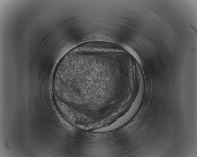X0000092221144200710121151