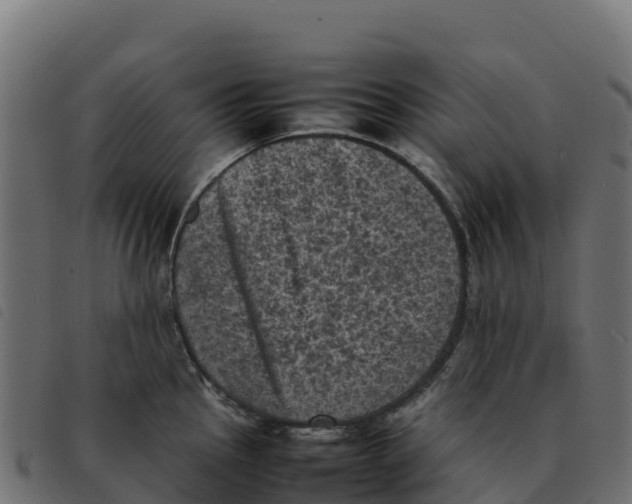 X0000092221145200710121151