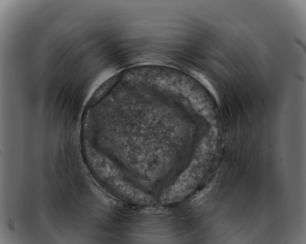 X0000092221146200710121151
