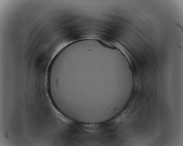 X0000092221147200710121151
