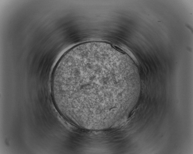 X0000092221148200710121151