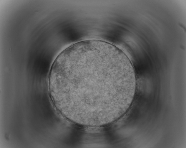 X0000092221150200710121151
