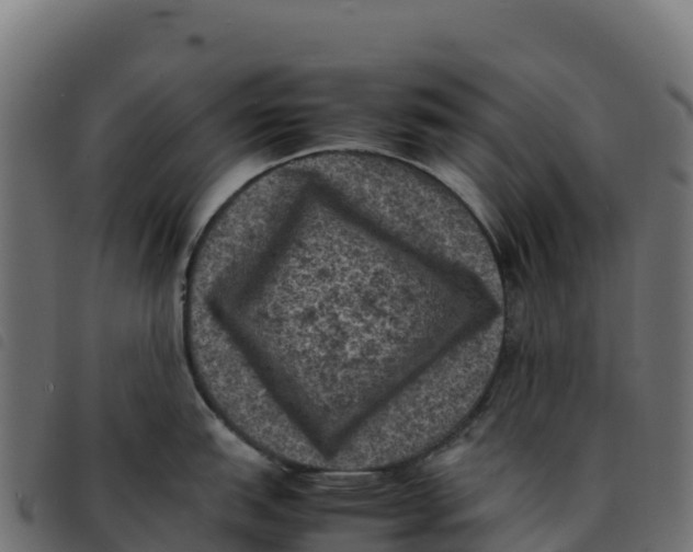X0000092221151200710121151