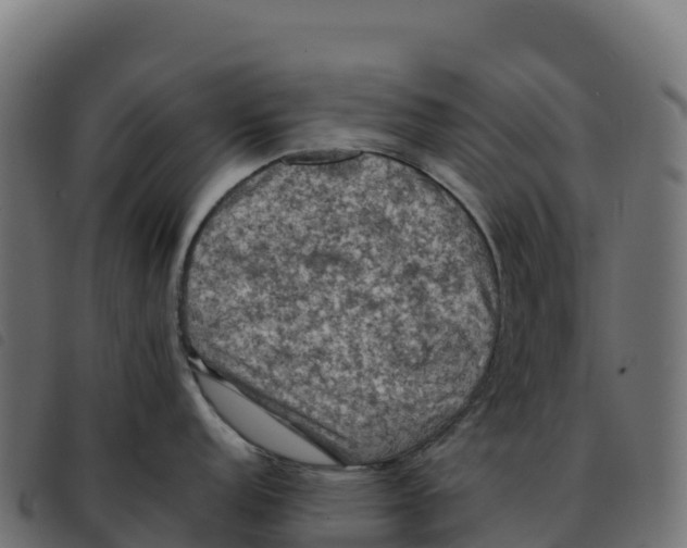 X0000092221152200710121151