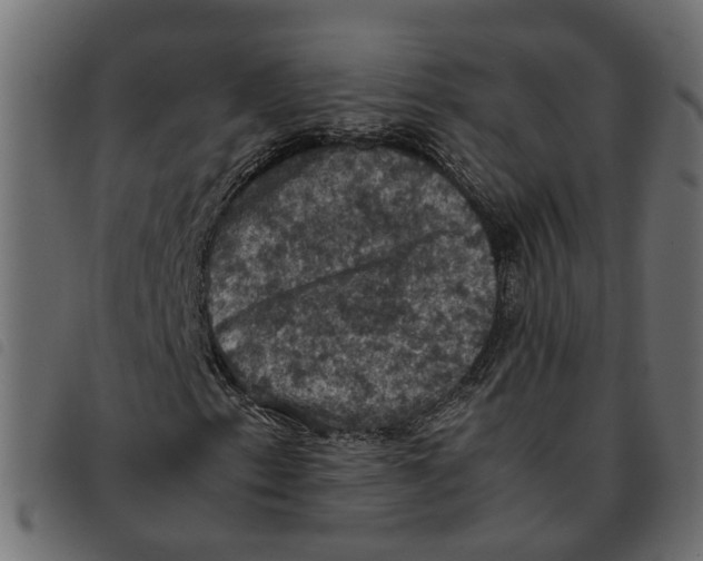 X0000092221153200710121151